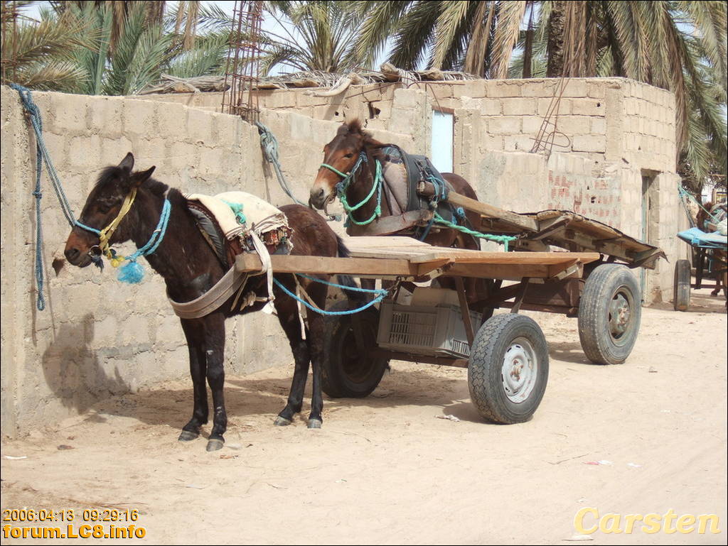 Douz, Richtung Ghilane - 010