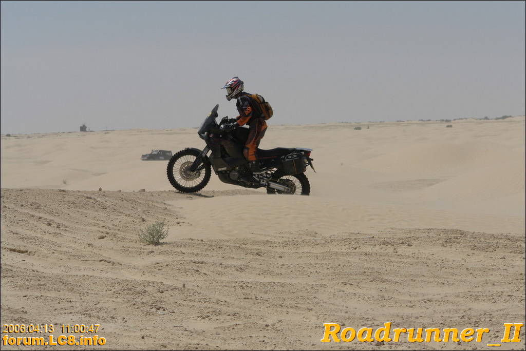 Douz, Richtung Ghilane - 024
