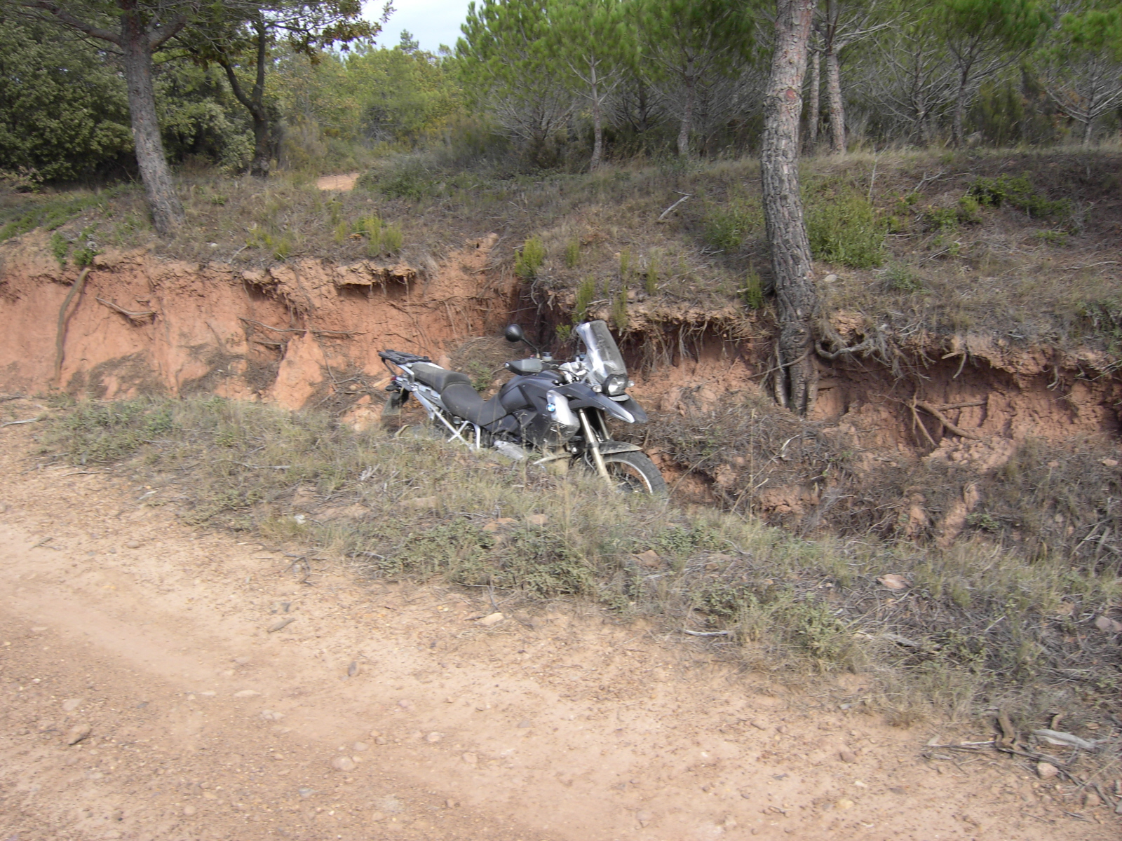 moux2008 007.jpg