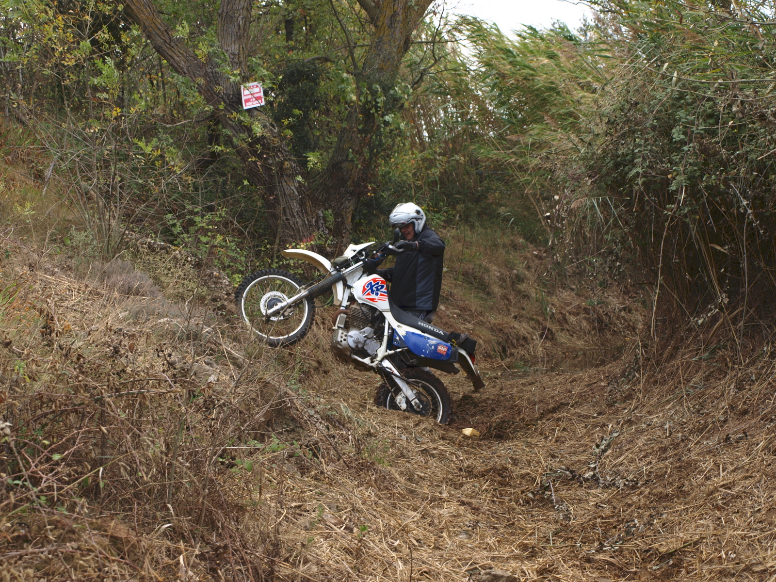 moux2008 115.jpg