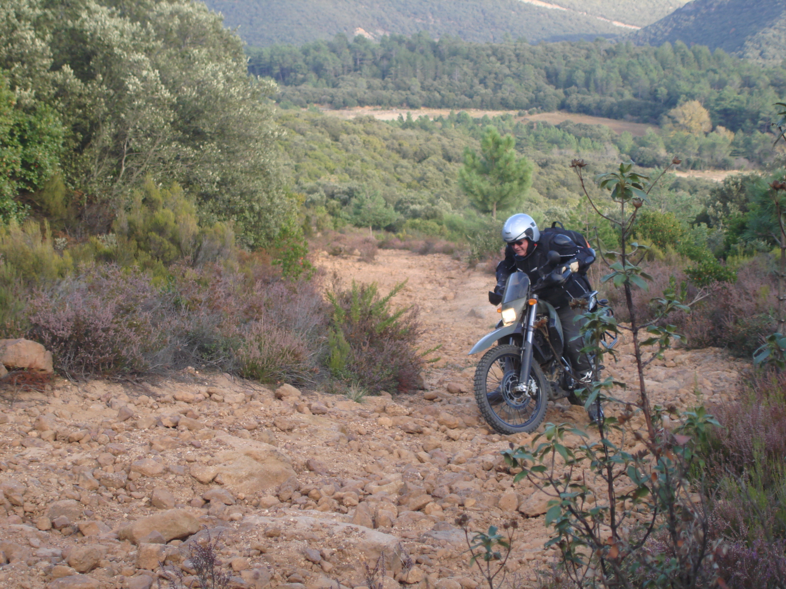 moux2008 155.jpg