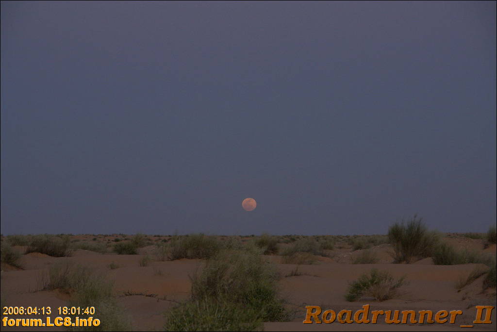 Douz, Richtung Ghilane - 052