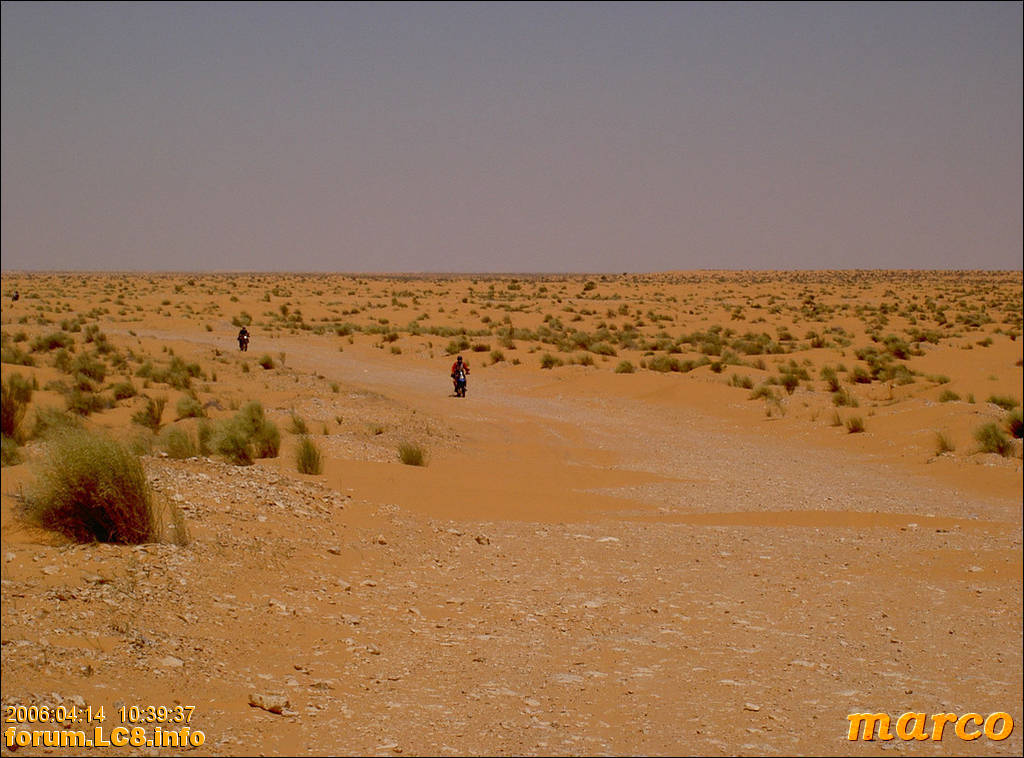 Marc nach Ghilane - 002