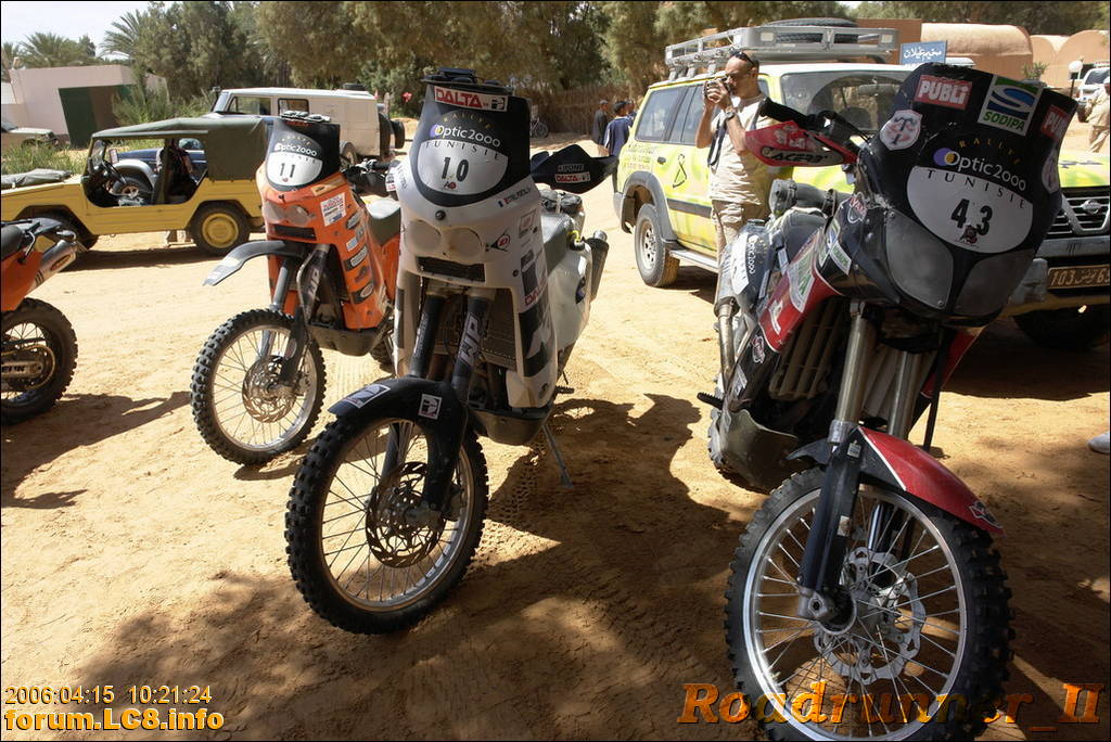 Ruhetag Ksar Ghilane - 008