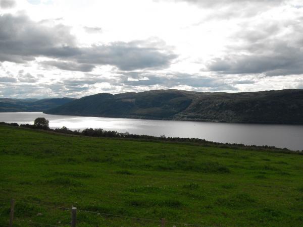 SDC11236.JPG