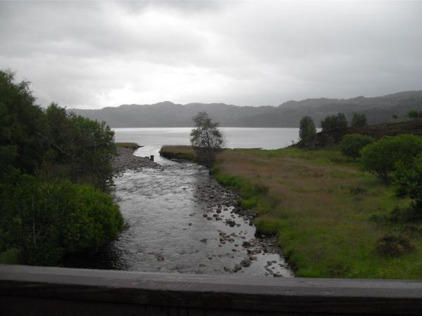 SDC11373.JPG