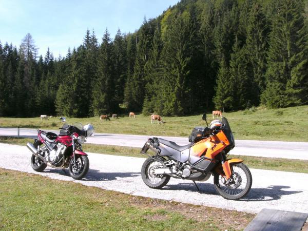 BILD0200.JPG