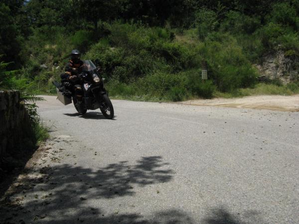 201006241229IMG_2520.JPG