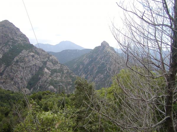 201006241507P6240057.JPG
