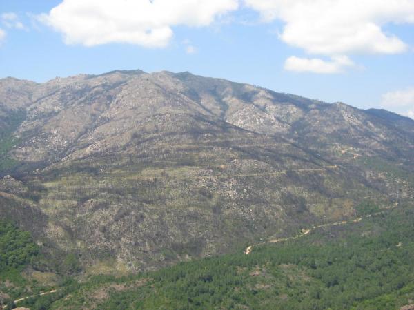 201006251314IMG_2558.JPG