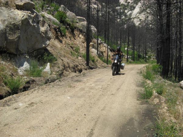 201006251201IMG_2545.JPG