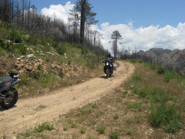 201006251210IMG_2552.JPG