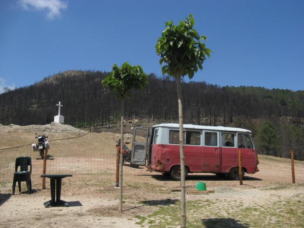 201006251216IMG_2541.JPG