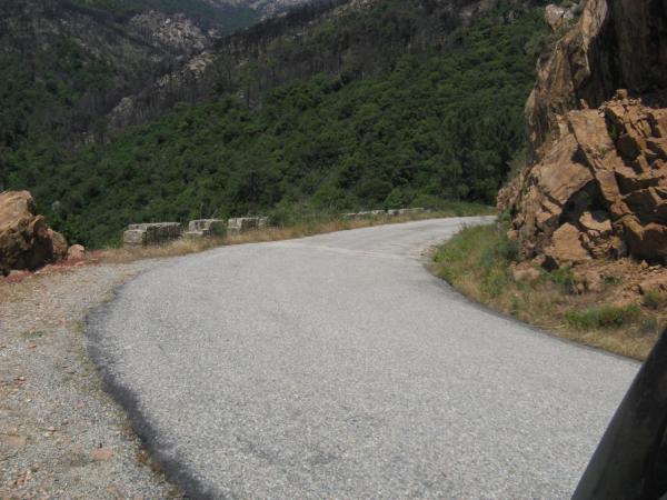 201006251227IMG_2553.JPG