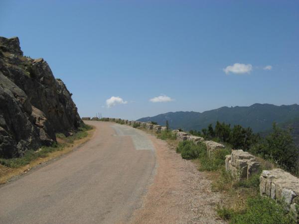201006251314IMG_2557.JPG