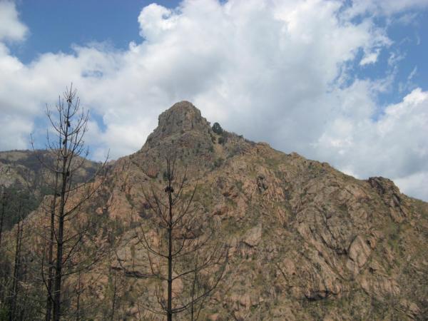 201006251336IMG_2561.JPG