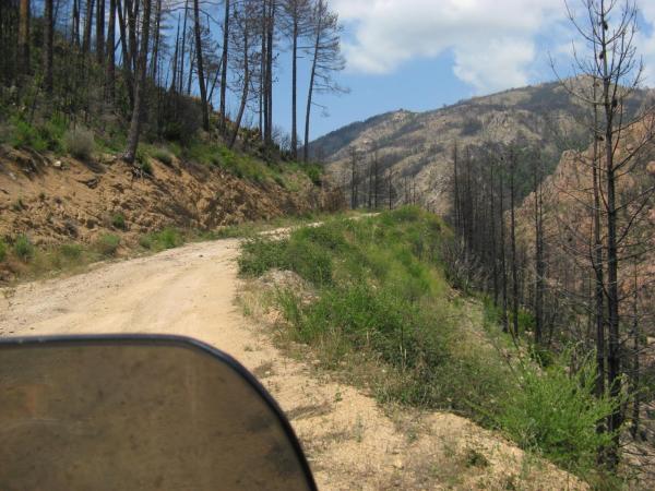 201006251336IMG_2562.JPG