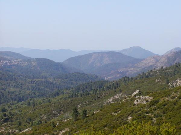 201006261003P6260069.JPG