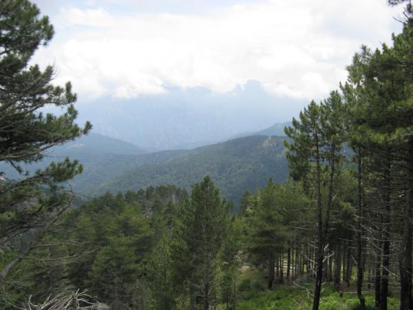 201006261248IMG_2569.JPG