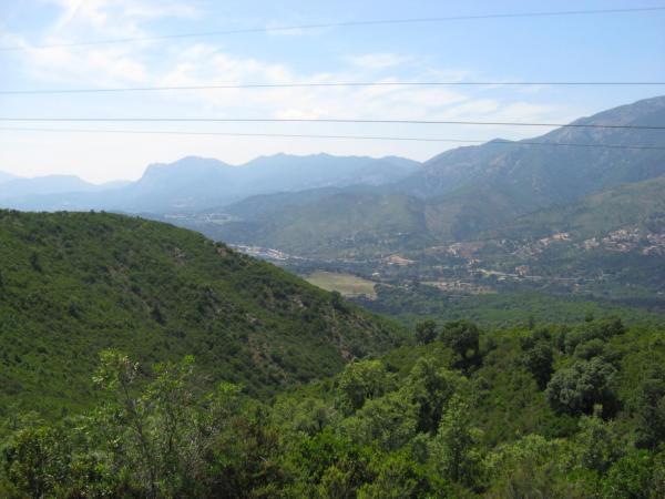 201006261417IMG_2576.JPG