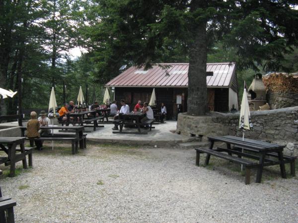 201006291528IMG_2588.JPG