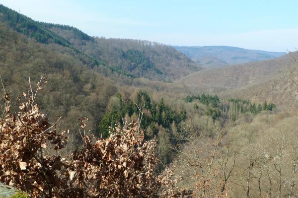 Hindernis mit Pause - 004