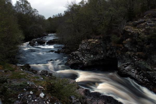 Image 12566