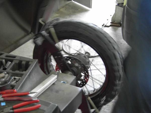 4.LC8.info_Rotschopflein_014.JPG