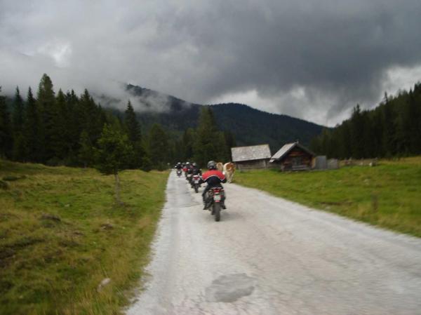 4.LC8.info_Ollo950_019.JPG