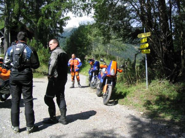 4.LC8.info_zwiebelfisch_033.JPG