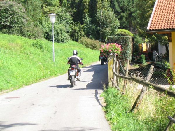 4.LC8.info_zwiebelfisch_052.JPG