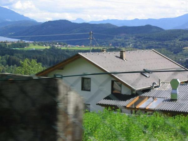 4.LC8.info_zwiebelfisch_054.JPG