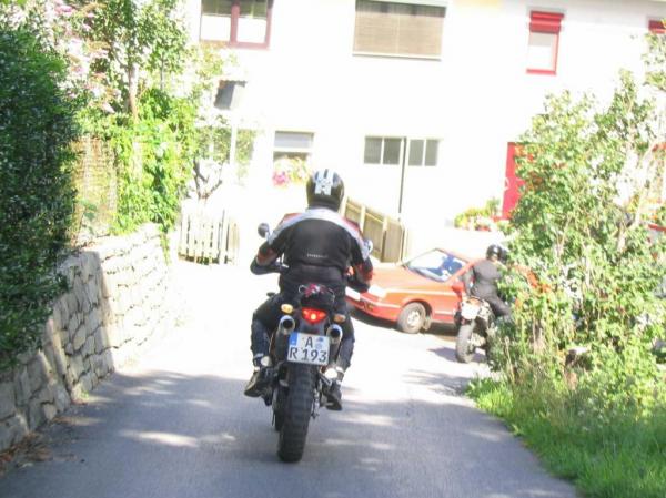 4.LC8.info_zwiebelfisch_059.JPG