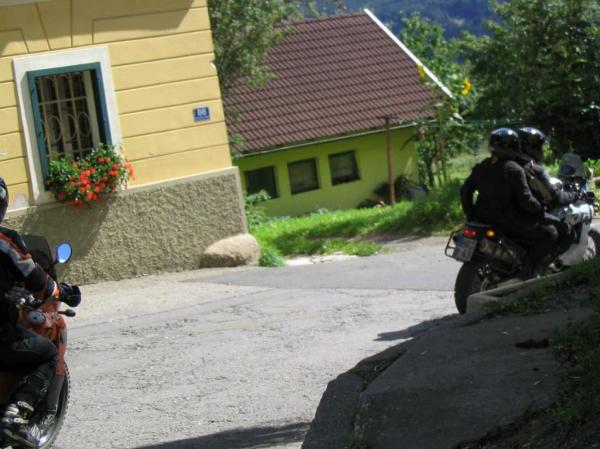 4.LC8.info_zwiebelfisch_060.JPG