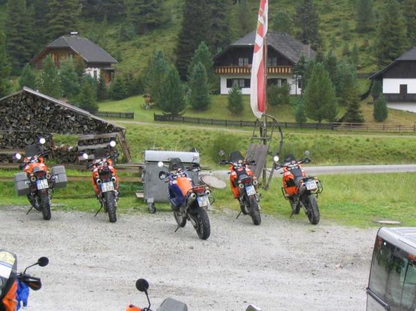 4.LC8.info_zwiebelfisch_113.JPG