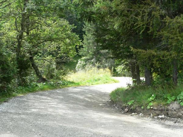 4.LC8.info_Adventure09_040.JPG