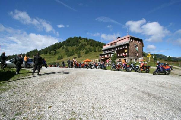 4.LC8.info_Brieftaube_002.JPG