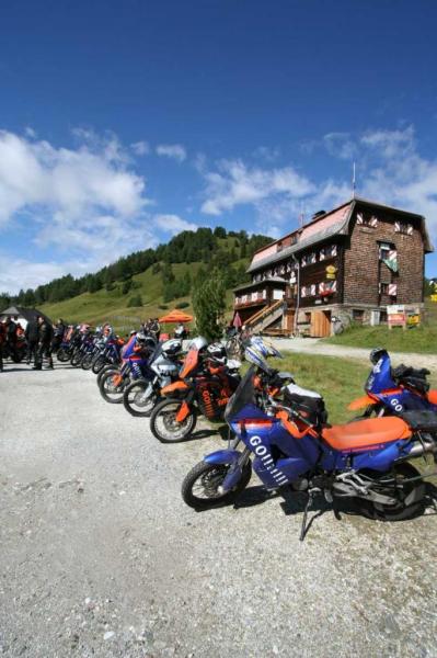 4.LC8.info_Brieftaube_023.JPG