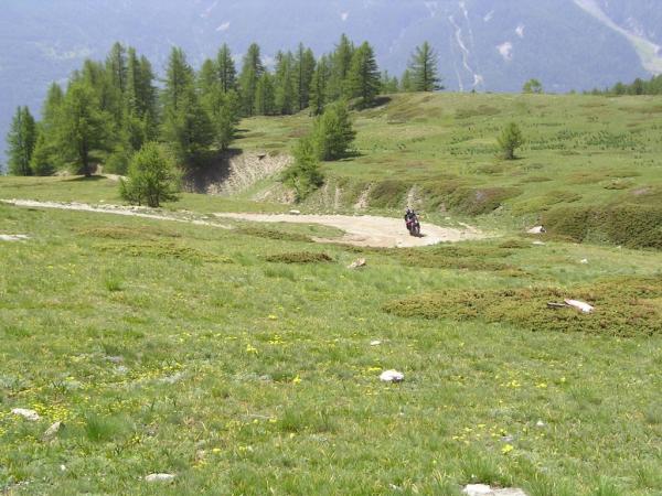 20060619-120356-IS.JPG