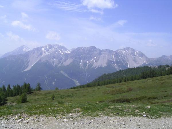 20060619-120456-IS.JPG