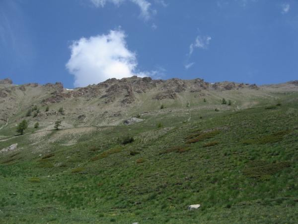 20060619-120716-PF.JPG