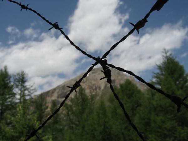 20060619-141124-PF.JPG