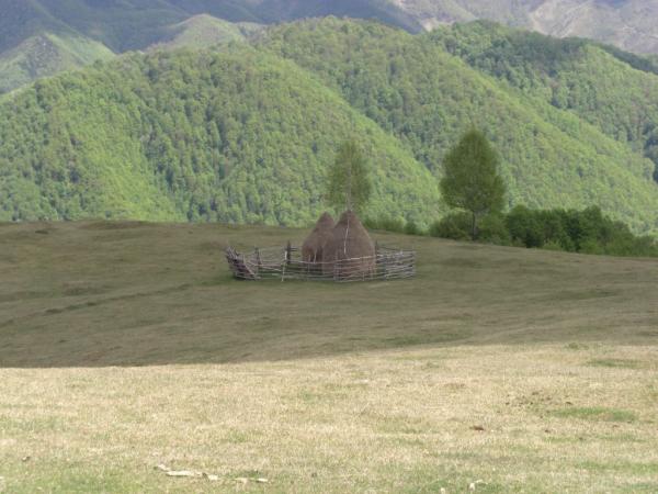 20070430-121254-MK.JPG