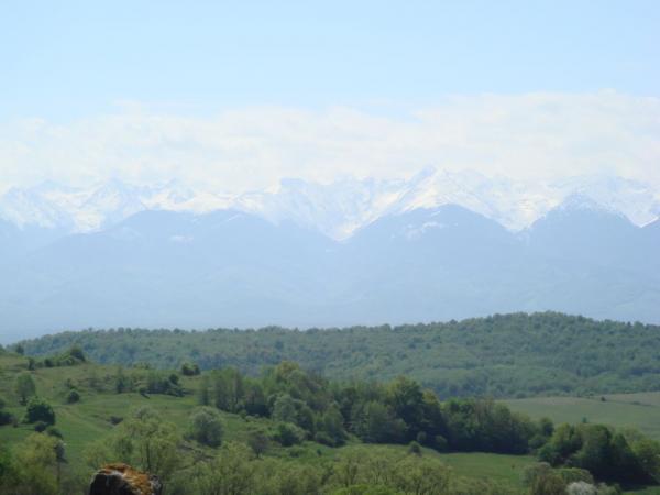 20070502-104146-MF.JPG
