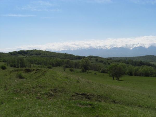 20070502-104220-MK.JPG
