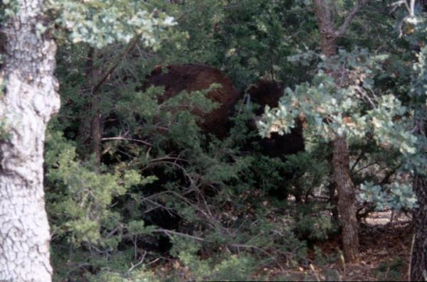 USA 2002-4- Blick ums Klo-Eck.jpg