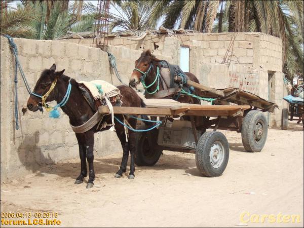 Douz, Richtung Ghilane - 010