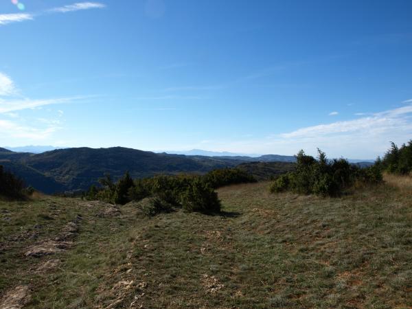 moux2008 093.jpg
