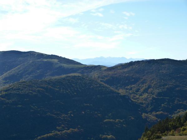 moux2008 100.jpg