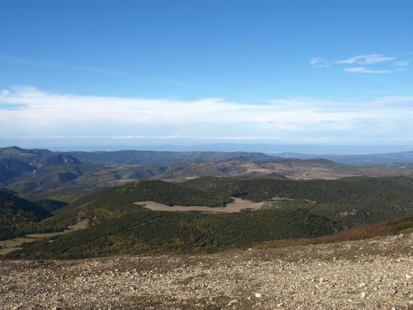moux2008 108.jpg